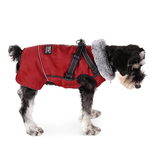 Dociote Hundemantel Hundejacke mit abnehmbarem Geschirr & Klettverschluss gefütterter & wasserdichter Wintermantel Winterjacke für kleine mittelgroße Hunde Rot 2XL Dociote Hundemantel Hundejacke mit abnehmbarem Geschirr & Klettverschluss gefütterter & wasserdichter Wintermantel Winterjacke für kleine mittelgroße Hunde Rot 2XL von Dociote