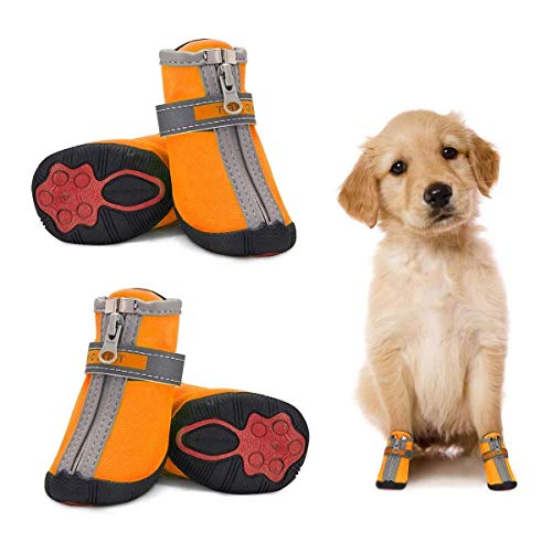 Dociote Hundeschuhe pfotenschutz mit Anti-Rutsch Sohle, reflektierendem Riemen, Klettverschluss, Reißverschluss wasserdicht Schneeschuhe für kleine Hunde 4 Stück Orange 4# von Dociote