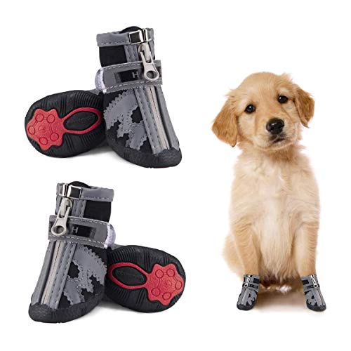 Dociote Hundeschuhe pfotenschutz mit Anti-Rutsch Sohle, reflektierendem Riemen, Klettverschluss, Reißverschluss wasserdicht Schneeschuhe für kleine Hunde 4 Stück Schwarz 5# Dociote Hundeschuhe pfotenschutz mit Anti-Rutsch Sohle, reflektierendem Riemen, Klettverschluss, Reißverschluss wasserdicht Schneeschuhe für kleine Hunde 4 Stück Schwarz 5# von Dociote