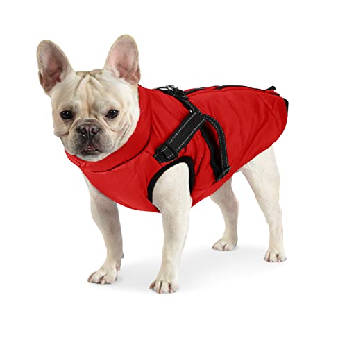 Dociote hundemantel mit Geschirr für Französische Bulldogge - Wintermantel mit Reißverschluss für mittelgrosse Hunde Winter - wasserdichte & Gepolsterte Hundejacke Hochrot 2XL Dociote hundemantel mit Geschirr für Französische Bulldogge - Wintermantel mit Reißverschluss für mittelgrosse Hunde Winter - wasserdichte & Gepolsterte Hundejacke Hochrot 2XL von Dociote