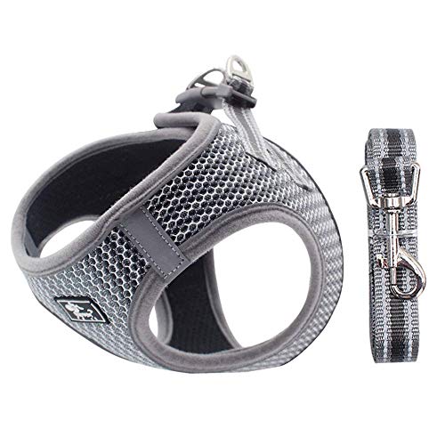 Hundegeschirr Set mit Leine für kleine Hunde - Brustgeschirr ausbruchsicheres Katzengeschirr Welpengeschirr Step-In Geschirr für kleine Hunde, Welpen, Katzen L Grau Hundegeschirr Set mit Leine für kleine Hunde - Brustgeschirr ausbruchsicheres Katzengeschirr Welpengeschirr Step-In Geschirr für kleine Hunde, Welpen, Katzen L Grau von Dociote