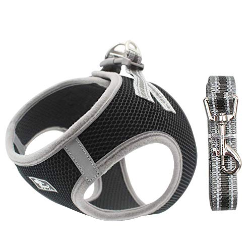 Hundegeschirr Set mit Leine für kleine Hunde - Brustgeschirr ausbruchsicheres Katzengeschirr Welpengeschirr Step-In Geschirr für kleine Hunde, Welpen, Katzen M Schwarz Hundegeschirr Set mit Leine für kleine Hunde - Brustgeschirr ausbruchsicheres Katzengeschirr Welpengeschirr Step-In Geschirr für kleine Hunde, Welpen, Katzen M Schwarz von Dociote