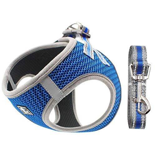 Hundegeschirr Set mit Leine für kleine Hunde - Brustgeschirr ausbruchsicheres Katzengeschirr Welpengeschirr Step-In Geschirr für kleine Hunde, Welpen, Katzen S Blau Hundegeschirr Set mit Leine für kleine Hunde - Brustgeschirr ausbruchsicheres Katzengeschirr Welpengeschirr Step-In Geschirr für kleine Hunde, Welpen, Katzen S Blau von Dociote