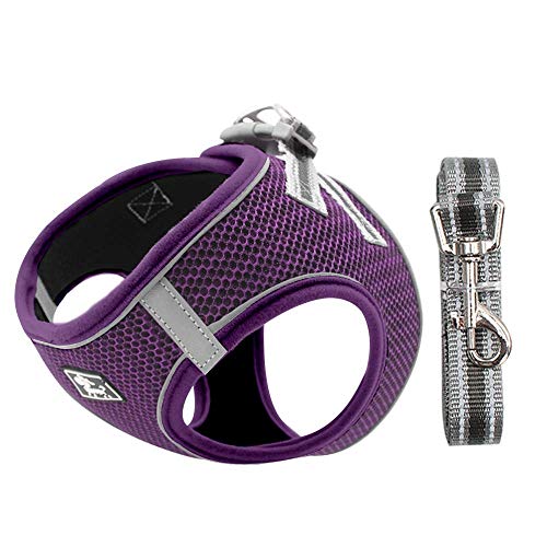 Hundegeschirr Set mit Leine für kleine Hunde - Brustgeschirr ausbruchsicheres Katzengeschirr Welpengeschirr Step-In Geschirr für kleine Hunde, Welpen, Katzen S Lila Hundegeschirr Set mit Leine für kleine Hunde - Brustgeschirr ausbruchsicheres Katzengeschirr Welpengeschirr Step-In Geschirr für kleine Hunde, Welpen, Katzen S Lila von Dociote
