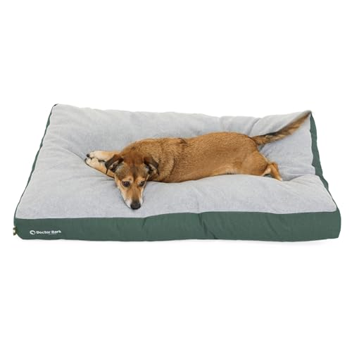 Doctor Bark Hundekissen Große Hunde Waschbar - Hundebett Weich Flauschig - Strapazierfähiges Kuscheliges Liegekissen - GreenLabel (L - 100x72 cm, Grün) von Doctor Bark