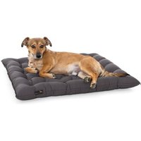 Doctor Bark Pointer Urban Kissen von Doctor Bark