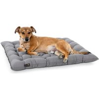 Doctor Bark Pointer Urban Kissen von Doctor Bark