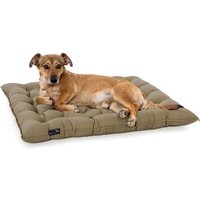 Doctor Bark Pointer Urban Kissen von Doctor Bark