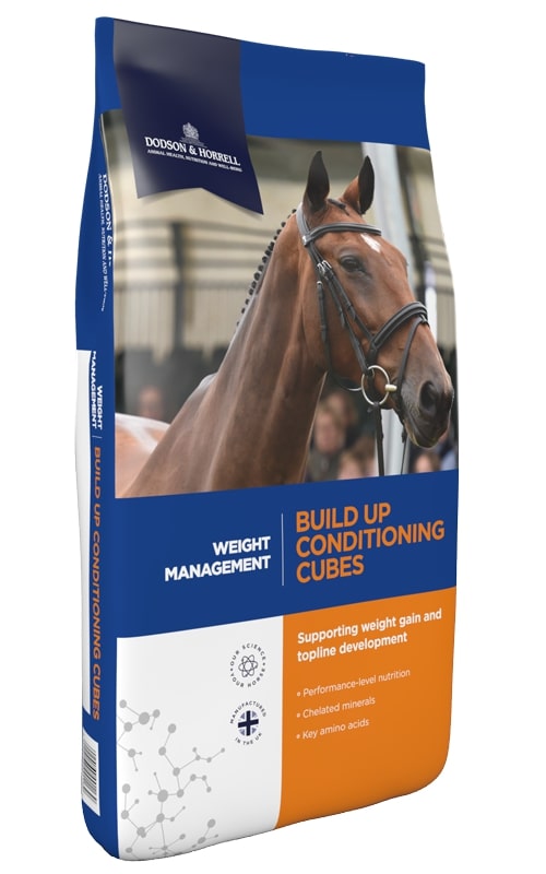 Dodson & Horrell Build up Conditioning Cubes 20kg haferfrei Dodson & Horrell Build up Conditioning Cubes 20kg haferfrei von Dodson & Horrell