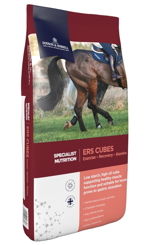 Dodson & Horrell Ers Cubes 20kg für den Hochleistungssportler Dodson & Horrell Ers Cubes 20kg für den Hochleistungssportler von Dodson & Horrell