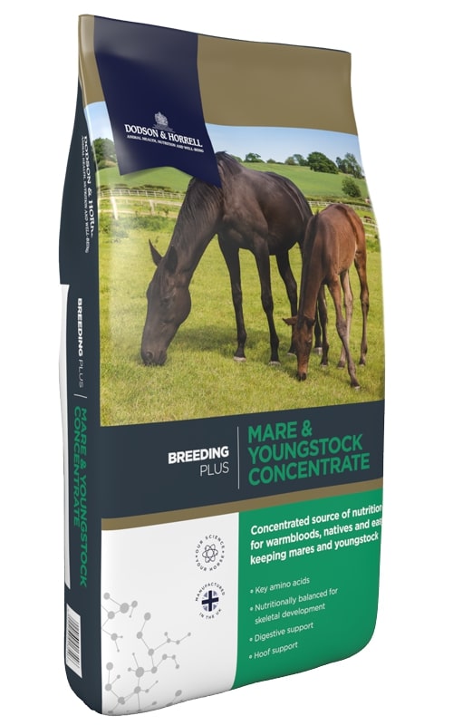 Dodson & Horrell Mare & Youngstock Concentrate 20kg Das Familiendinner Dodson & Horrell Mare & Youngstock Concentrate 20kg Das Familiendinner von Dodson & Horrell