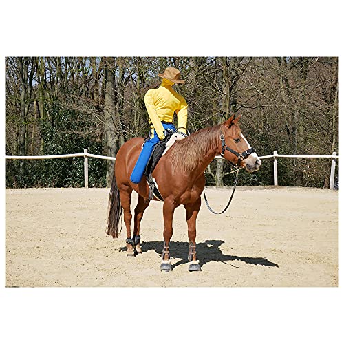 Dönges Anreitpuppe Pferdinand Anreithilfe 180cm Größe Reithilfe Einreithilfe Einreiten Pferdeausbildung Pferdetraining ohne Füllung für Reitsport Pferdesport von Dönges