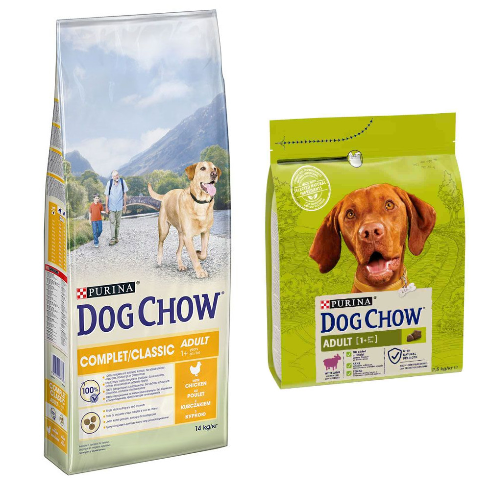 14 kg PURINA Dog Chow + 2,5 Adult Lamm Trockenfutter gratis! - Adult Complet/Classic mit Huhn 14 kg PURINA Dog Chow + 2,5 Adult Lamm Trockenfutter gratis! - Adult Complet/Classic mit Huhn von Dog Chow