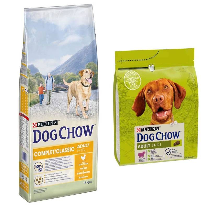 14 kg PURINA Dog Chow + 2,5 Adult Lamm Trockenfutter gratis! - Adult Complet/Classic mit Huhn von Dog Chow