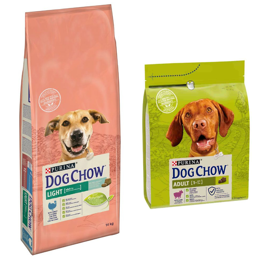 14 kg PURINA Dog Chow + 2,5 Adult Lamm Trockenfutter gratis! - Adult Light Pute 14 kg PURINA Dog Chow + 2,5 Adult Lamm Trockenfutter gratis! - Adult Light Pute von Dog Chow