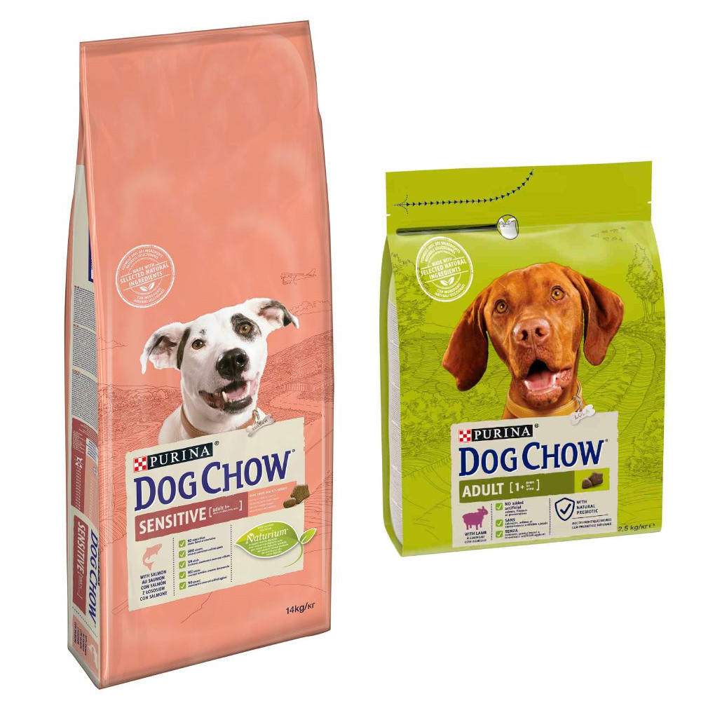 14 kg PURINA Dog Chow + 2,5 Adult Lamm Trockenfutter gratis! - Adult Sensitive Lachs 14 kg PURINA Dog Chow + 2,5 Adult Lamm Trockenfutter gratis! - Adult Sensitive Lachs von Dog Chow