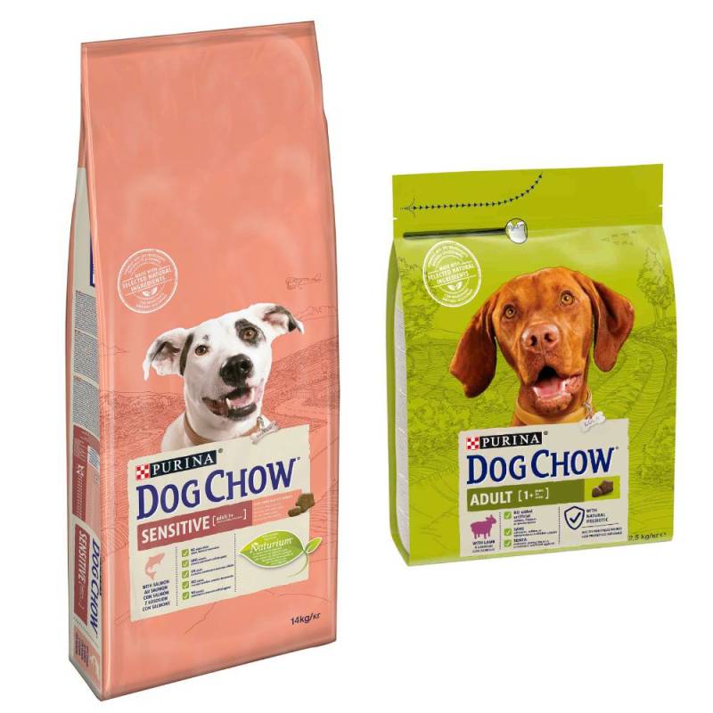 14 kg PURINA Dog Chow + 2,5 Adult Lamm Trockenfutter gratis! - Adult Sensitive Lachs von Dog Chow