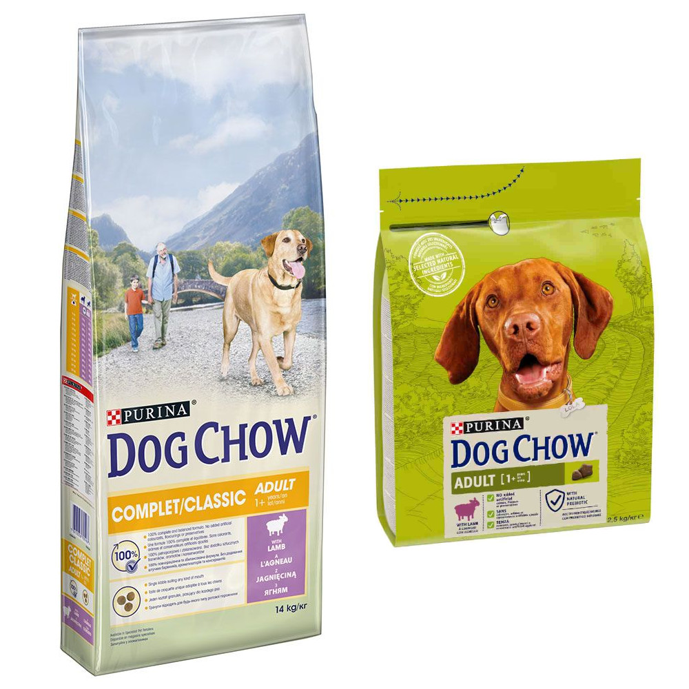 14 kg PURINA Dog Chow + 2,5 Adult Lamm Trockenfutter gratis! - Complet/Classic mit Lamm 14 kg PURINA Dog Chow + 2,5 Adult Lamm Trockenfutter gratis! - Complet/Classic mit Lamm von Dog Chow