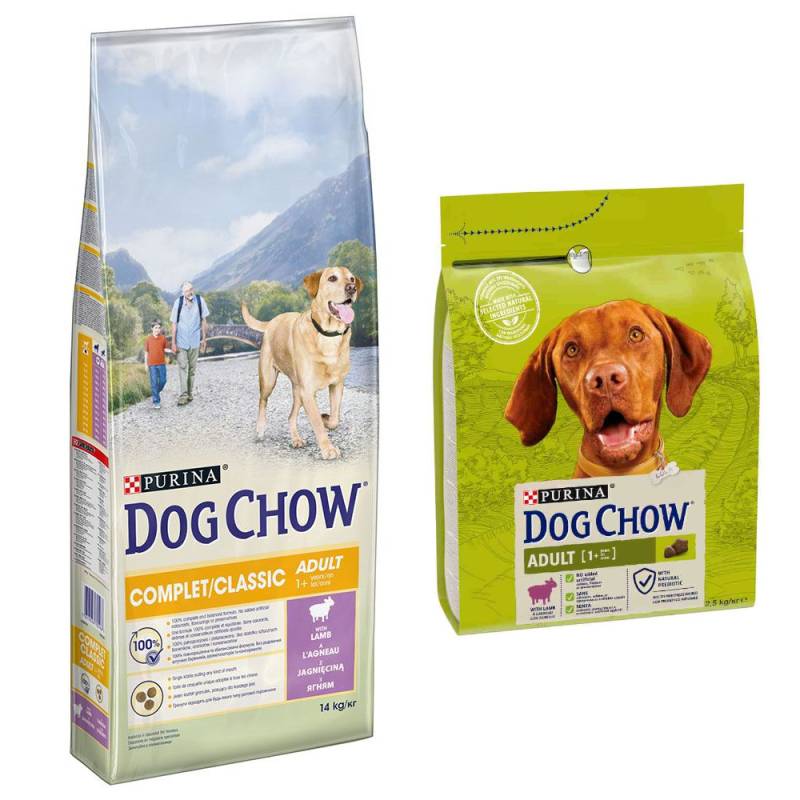 14 kg PURINA Dog Chow + 2,5 Adult Lamm Trockenfutter gratis! - Complet/Classic mit Lamm von Dog Chow