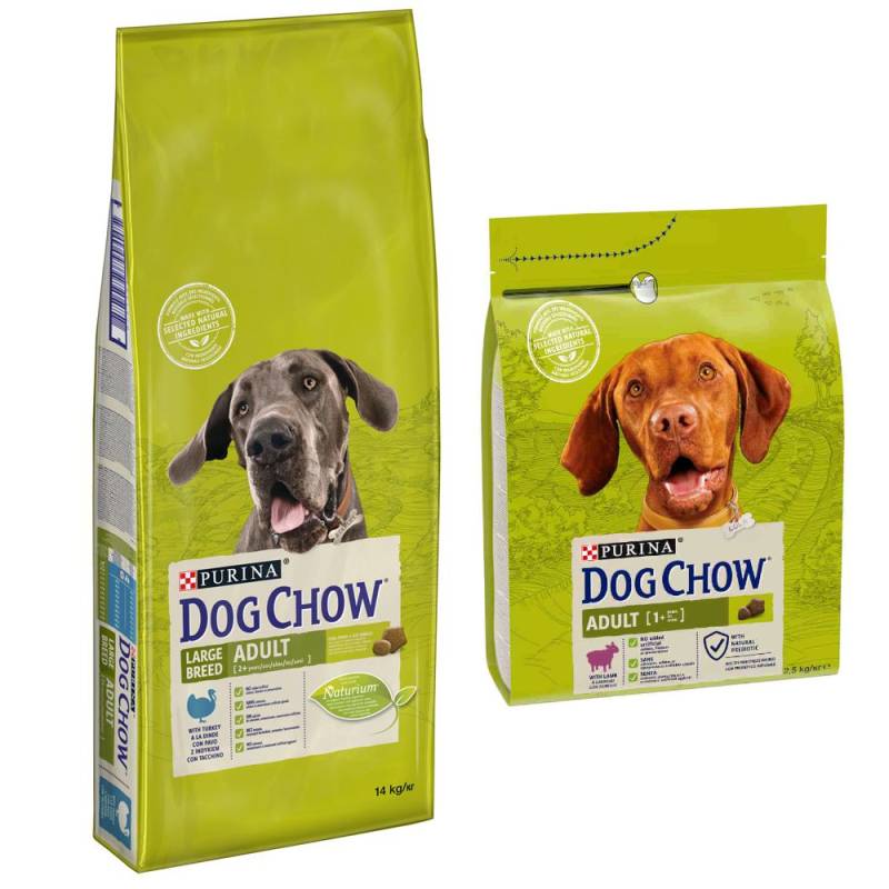 14 kg PURINA Dog Chow + 2,5 Adult Lamm Trockenfutter gratis! - Large Breed Pute von Dog Chow