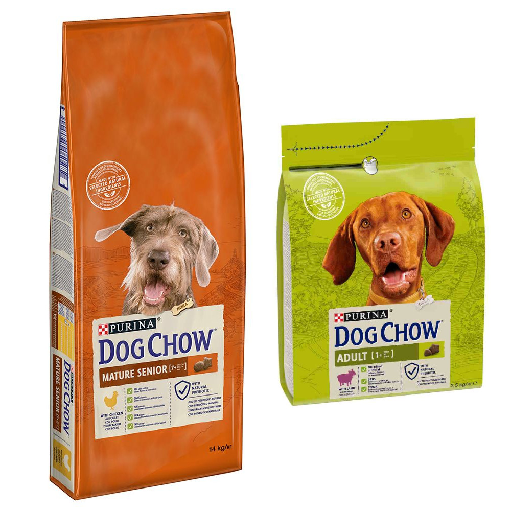 14 kg PURINA Dog Chow + 2,5 Adult Lamm Trockenfutter gratis! - Mature Senior Huhn 14 kg PURINA Dog Chow + 2,5 Adult Lamm Trockenfutter gratis! - Mature Senior Huhn von Dog Chow