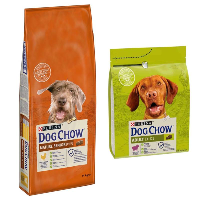 14 kg PURINA Dog Chow + 2,5 Adult Lamm Trockenfutter gratis! - Mature Senior Huhn von Dog Chow