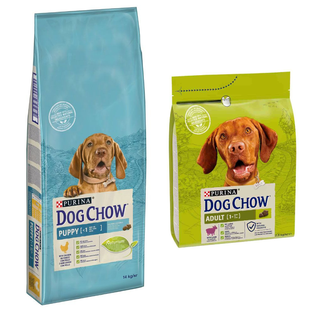 14 kg PURINA Dog Chow + 2,5 Adult Lamm Trockenfutter gratis! - Puppy Huhn 14 kg PURINA Dog Chow + 2,5 Adult Lamm Trockenfutter gratis! - Puppy Huhn von Dog Chow