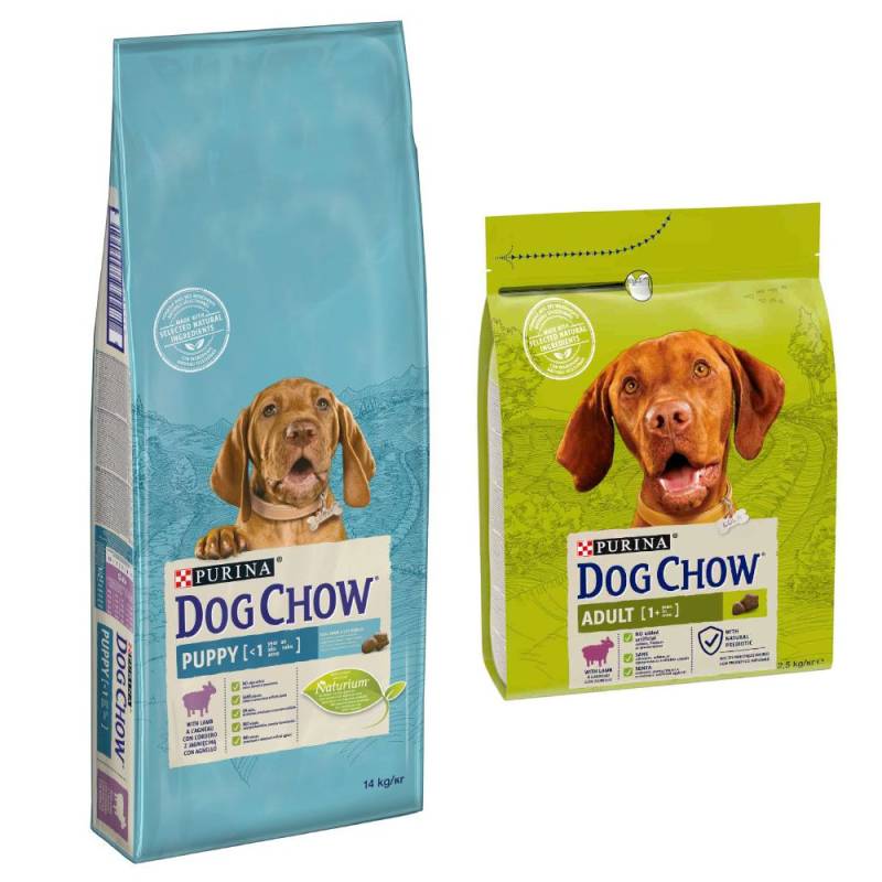 14 kg PURINA Dog Chow + 2,5 Adult Lamm Trockenfutter gratis! - Puppy Lamm von Dog Chow