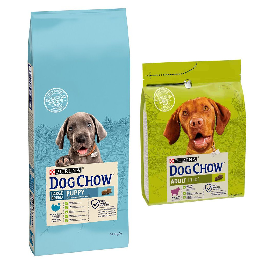 14 kg PURINA Dog Chow + 2,5 Adult Lamm Trockenfutter gratis! - Puppy Large Breed Truthahn 14 kg PURINA Dog Chow + 2,5 Adult Lamm Trockenfutter gratis! - Puppy Large Breed Truthahn von Dog Chow
