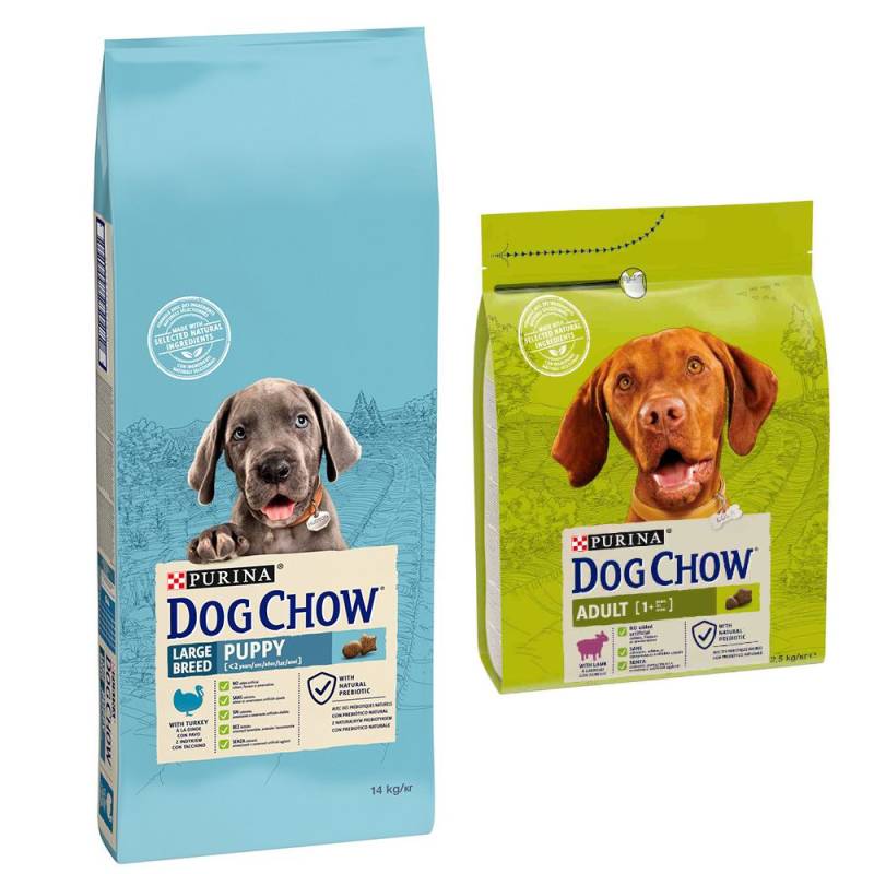 14 kg PURINA Dog Chow + 2,5 Adult Lamm Trockenfutter gratis! - Puppy Large Breed Truthahn von Dog Chow