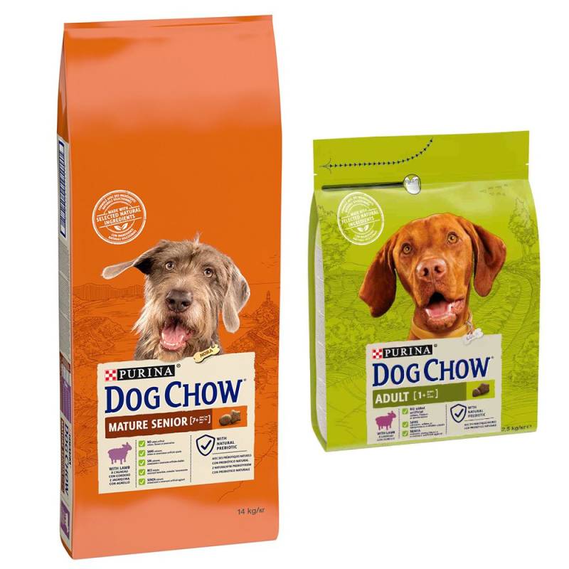 14 kg PURINA Dog Chow + 2,5 Adult Lamm Trockenfutter gratis! - Senior Lamm von Dog Chow