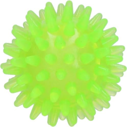 Dog Comets Exoplanet -5 cm - Hundespielzeug - Ball - Apportierspielzeug - Wasser und Land - Dental - Mit Piepton - Grün - S von Dog Comets