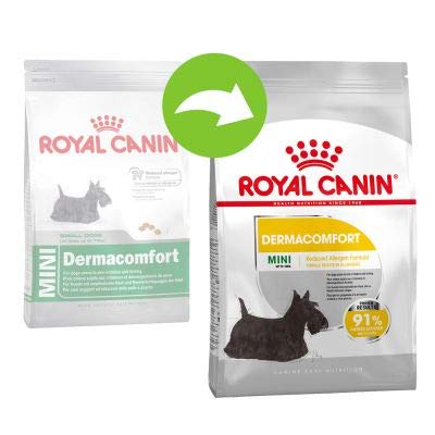 Dog Food Royal Canin Mini-Dermacomfort für kleine Hunde, die zu Hautirritationen und Juckreiz neigen, 2 x 8 kg von Dog Food