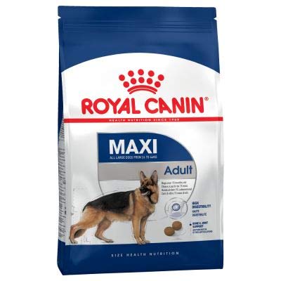 Royal Canin Hundefutter für große Hunde (26-45 kg) von 15 oder 18 Monaten bis 5 Jahren, optimale Verdauungssicherheit, Chondroitinsulfat und Glucosamin für gesunde Gelenke, Vorteilspackung: 2 x 15 kg von Dog Food