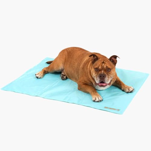 DF Co. Kühlmatte Hund für den Sommer | Automatische Kühlung, leicht faltbar, ungiftiges Gel innen | Himmelblau, Größe L von Dog Friendly Co