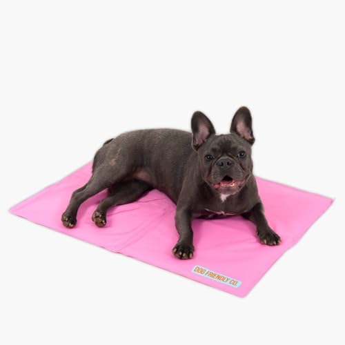 DF Co. Kühlmatte Hund für den Sommer | Automatische Kühlung, leicht faltbar, ungiftiges Gel innen | Rosa, Größe L DF Co. Kühlmatte Hund für den Sommer | Automatische Kühlung, leicht faltbar, ungiftiges Gel innen | Rosa, Größe L von Dog Friendly Co