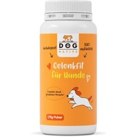Dog-Native GelenkFit für Hunde, natürliches Gelenkpulver, Gelenk Fit Pulver mit Grünlippmuschel, MSM, Kollagen & Chondroitin für Gelenke & Knochen, 175g von Dog-Native
