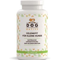 Dog-Native Gelenktabletten für kleine Hunde, natürliche Gelenk-Tabletten mit Grünlippmuschel, MSM, Kollagen-Hydrolysat und Chondroitin, hochdosiert für Gelenke, 250 Tabletten von Dog-Native