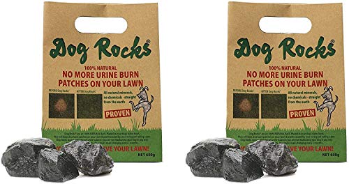Dog Rocks - 100 % natürliche Grasverbrennung – verhindert Rasen-Urinflecken – zwei große Beutel – 12 Monate Vorrat von Dog Rocks