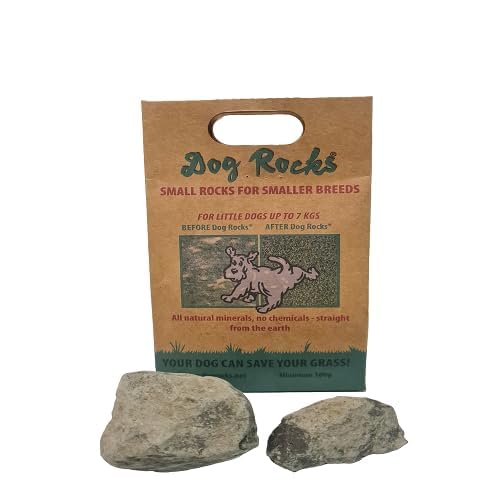 Dog Rocks - Urinpflasterverhinderer (100 g) /Natürlicher Hunde-Urin-Neutralisator für Wassernäpfe, Grasreparatur, Reparatur von Urinstandflecken von Dog Rocks