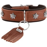 Dog Sport HUNTER Hundehalsband münchen cognac XS-S Dog Sport HUNTER Hundehalsband münchen cognac XS-S von Dog Sport