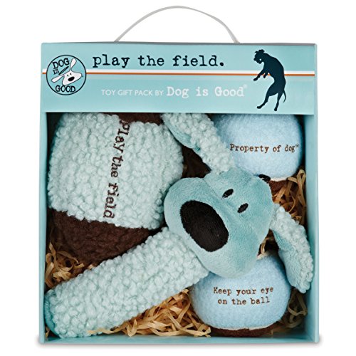 Dog is Good 4-teiliges Hundespielzeug Geschenkbox - Spielfeld Plüschspielzeug ideal zum Apportieren, um Ihren Hund zu trainieren Dog is Good 4-teiliges Hundespielzeug Geschenkbox - Spielfeld Plüschspielzeug ideal zum Apportieren, um Ihren Hund zu trainieren von Dog is Good
