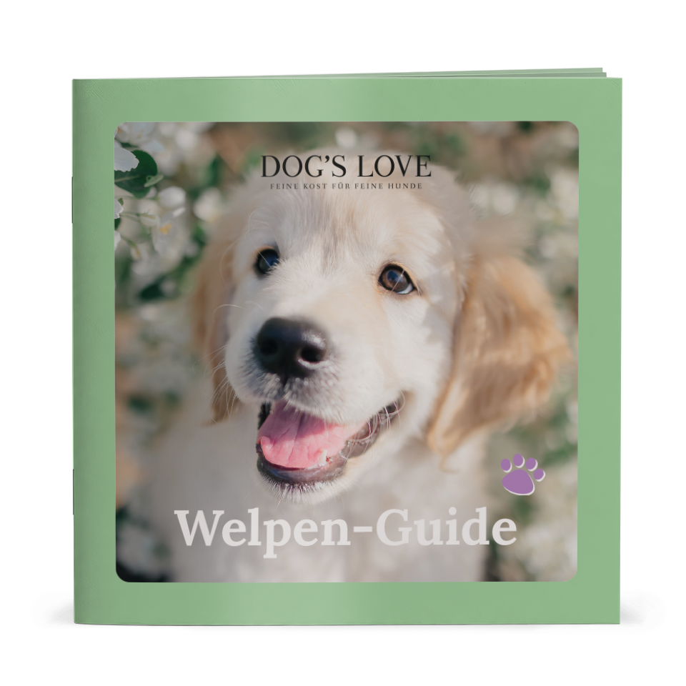 DL-GUIDE-WELPE DL-GUIDE-WELPE von Dog's Love