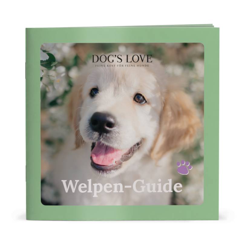 DL-GUIDE-WELPE von Dog's Love