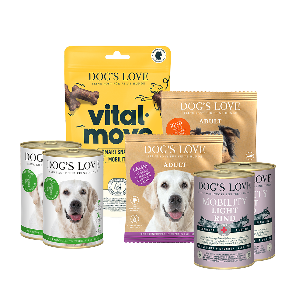 DOG'S LOVE Golden Retriever-Set für ausgewachsene Hunde von Dog's Love