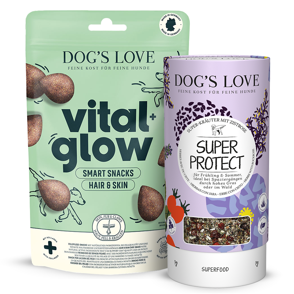 DOG'S LOVE Hunde Leckerlis Glow-Set, getreidefrei | Trainings-Leckerli & Belohnung für Hunde von Dog's Love