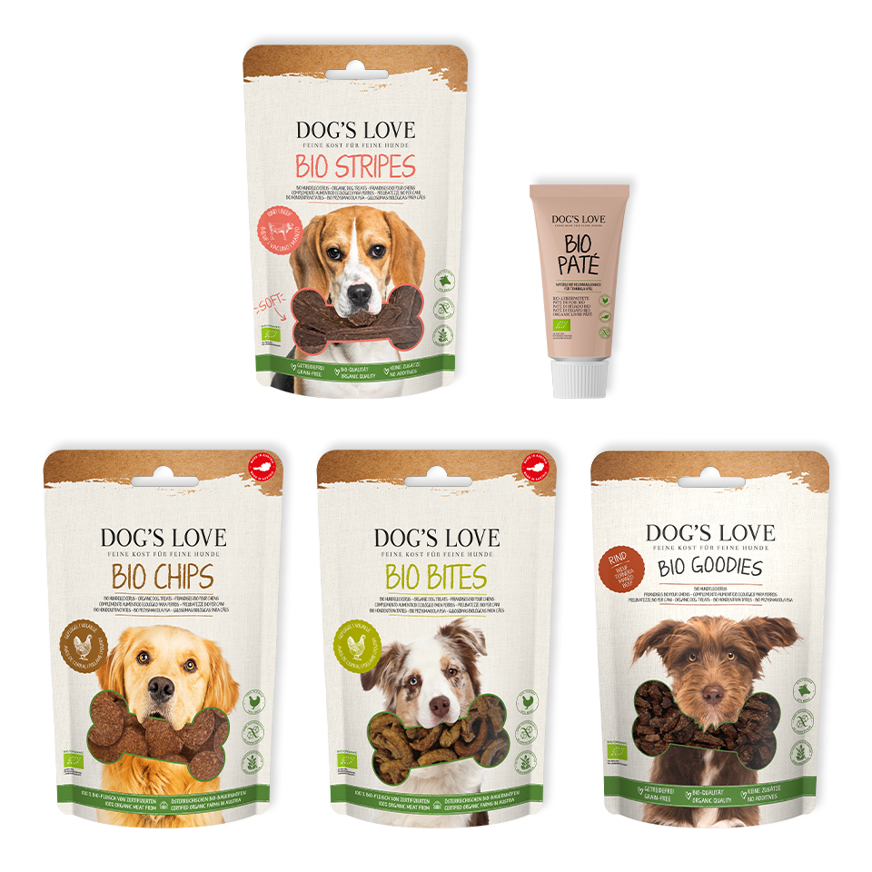 DOG'S LOVE Hunde Leckerlis Snackbox, getreidefrei | Trainings-Leckerli & Belohnung für Hunde DOG'S LOVE Hunde Leckerlis Snackbox, getreidefrei | Trainings-Leckerli & Belohnung für Hunde von Dog's Love