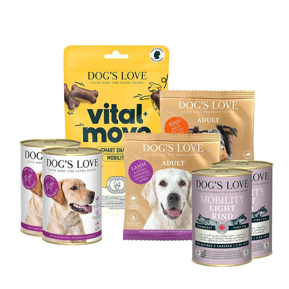 DOG'S LOVE Labrador-Set für ausgewachsene Hunde DOG'S LOVE Labrador-Set für ausgewachsene Hunde von Dog's Love
