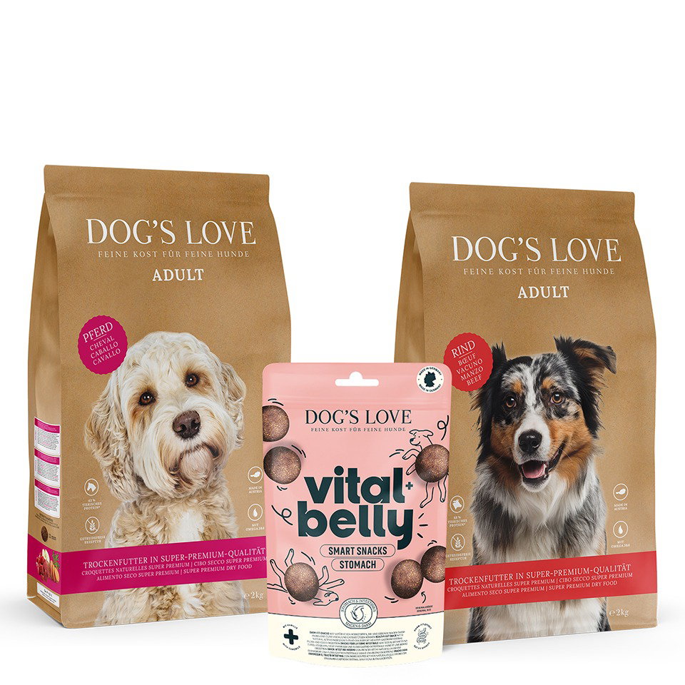 DOG'S LOVE Trockenfutter-Set mit Leckerli für Hunde | Monoprotein, für gesunde Hunde von Dog's Love