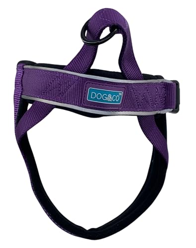 Dog & Co Reflektierend gepolstertes Hundegeschirr, Halfter Hundegeschirr, Halfter Geschirr, gepolstert für Komfort, doppeltes Nylon für zusätzliche Stärke, Hundegeschirr für einfaches Gehen und Dog & Co Reflektierend gepolstertes Hundegeschirr, Halfter Hundegeschirr, Halfter Geschirr, gepolstert für Komfort, doppeltes Nylon für zusätzliche Stärke, Hundegeschirr für einfaches Gehen und von DOG & COMPANY
